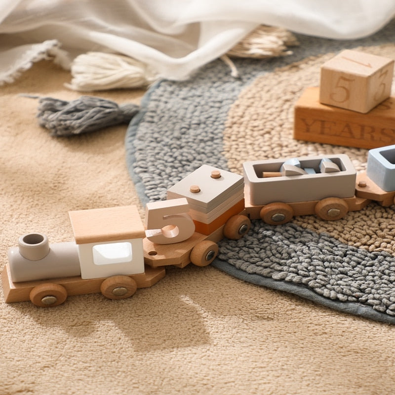 Wooden Train Toy  - Montessori Toys